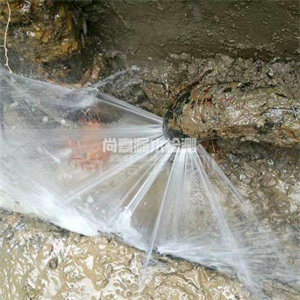 胡市镇消防管道漏水检测